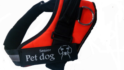 

Fantastic Dog Dog Standard Harness(, Orange