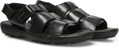 

Hush Puppies Men Black Casual