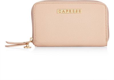 

Caprese Casual Beige Clutch