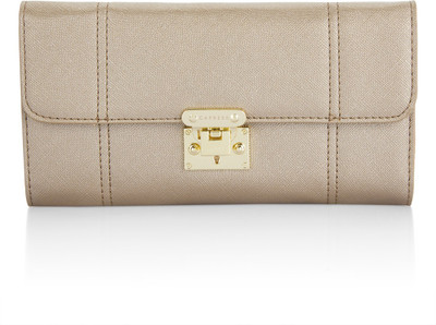 

Caprese Casual Brown Clutch