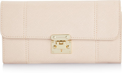 

Caprese Casual Pink Clutch