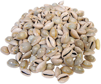 

Vardhman Sea Shells kowrie ,500 Gm Pack ,Used In Aquariums ,Art & Crafts ,Decorations, Table Decoration , Approx,( 275 Pcs size 2.5 X 1.5.X 1.5 cms ) River Rock Unplanted Substrate(Beige)