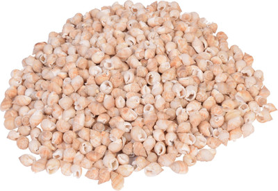 

Vardhman Sea Shells small ,750 pcs ,( 500 gms pack ) ,Used In Aquariums ,Art & Crafts ,Decorations, Table Decoration , size 1.75 cms River Rock Unplanted Substrate(Beige)