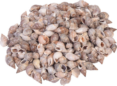 

Vardhman Sea Shells Shankh ,250 pcs ,( 500 gms pack ) ,Used In Aquariums ,Art & Crafts ,Decorations, Table Decoration , size 3 x 2 x 1.5 cms River Rock Unplanted Substrate(Brown)