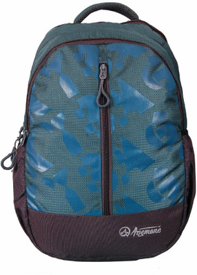 

Anemone SC 04 22 L Backpack(Grey, Multicolor)
