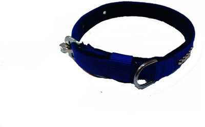 

Fantastic Dog Dog Everyday Collar(Medium, Blue)