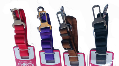 

Fantastic Dog Dog Collar & Leash(, Multicolor