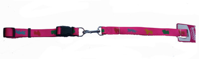 

Fantastic Dog Dog Collar & Leash(, Multicolor