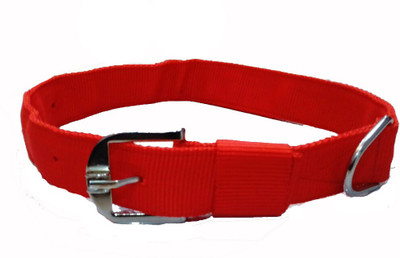 

Fantastic Dog Dog Everyday Collar(Large, Red)