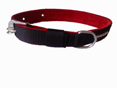 

Fantastic Dog Dog Everyday Collar(Large, Black)