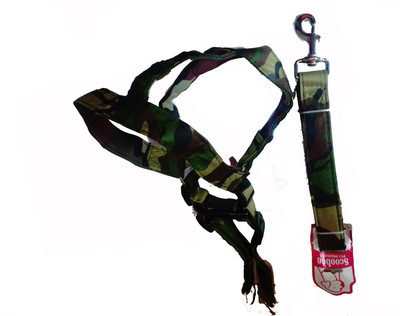 

Fantastic Dog Dog Harness & Leash(, Multicolor