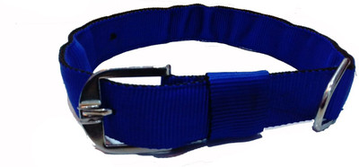 

Fantastic Dog Dog Everyday Collar(, Blue