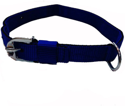 

Fantastic Dog Dog Everyday Collar(, Blue