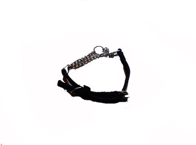 

Fantastic Dog Dog Everyday Collar(, Black