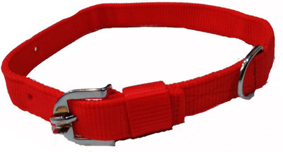 

Fantastic Dog Dog Everyday Collar(, Red