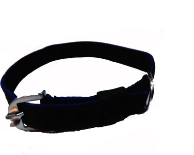 Fantastic Dog Dog Everyday Collar(, Black