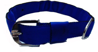 

Fantastic Dog Dog Everyday Collar(Large, Blue)