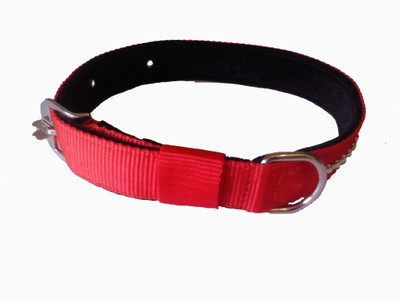 

Fantastic Dog Dog Everyday Collar(Large, Red)