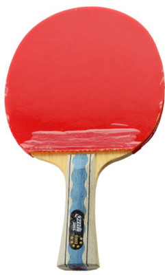 DHS TT Bat A6002 Red, Black Table Tennis Racquet(164.96 g), Black;red