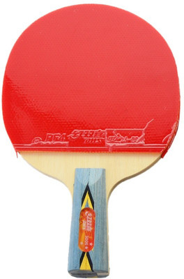 

DHS TT Bat A3006 Red, Black Table Tennis Racquet(160.93 g), Black;red