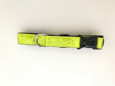 

Oliver Pet Care Dog Everyday Collar(, Yellow