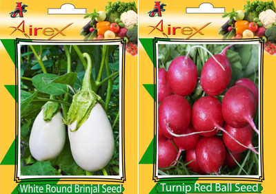 Airex White Round Brinjal and Turnip Red Ball Vegetables Seeds (Pack Of 15 Seeds * 2 Per Packet) Seed(15 per packet)