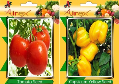 Airex Tomato, Yellow Capsicum Seed(15 per packet)