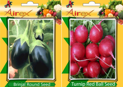 

Airex Brinjal Round and Turnip Red Ball Vegetables Seeds (Pack Of 25 Seeds * 2 Per Packet) Seed(25 per packet)
