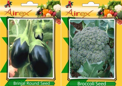 Airex Brinjal Round and Broccoli Vegetables Seeds (Pack Of 15 Seeds * 2 Per Packet) Seed(15 per packet)