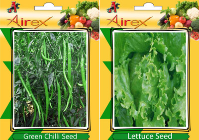 

Airex Green Chilli and Lettuce Vegetables Seeds (Pack Of 15 Seeds * 2 Per Packet) Seed(15 per packet)