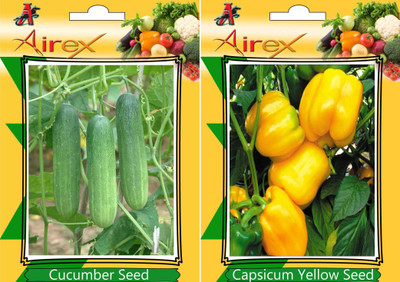 Airex Cucumber, Yellow Capsicum Seed(15 per packet)