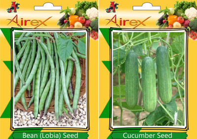 Airex Bean (Lobia), Cucumber Seed(25 per packet)