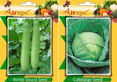 

Airex Bottle Gourd and Cabbage Vegetables Seed + Humic Acid Fertilizer (For Growth of All Plant and Better Responce) 15 gm Humic Acid + Pack Of 30 Seed Bottle Gourd + 30 Cabbage Seed(30 per packet)
