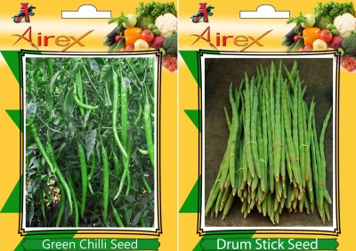 Airex Green Chilli and Drum Stick Vegetables Seeds (Pack Of 25 Seeds * 2 Per Packet) Seed(25 per packet)