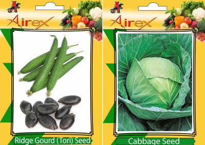 Airex Ridge Gourd (Tori), Cabbage Seed(20 per packet)