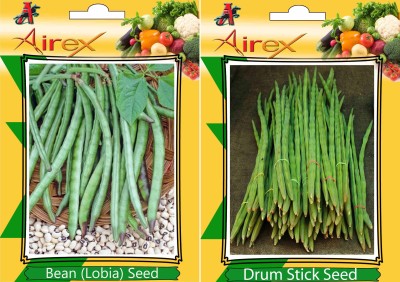 Airex Lobia, Drum Stick Seed(15 per packet)