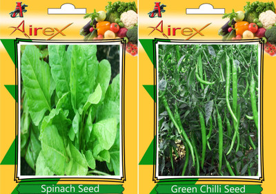 Airex Spinach, Chilli Seed(15 per packet)