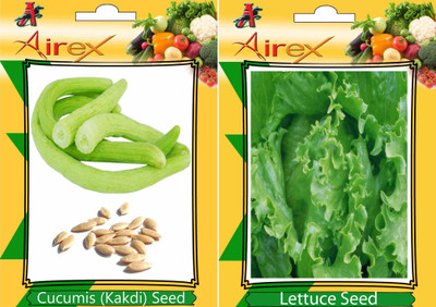 

Airex Cucumis, Lettuce Seed(20 per packet)