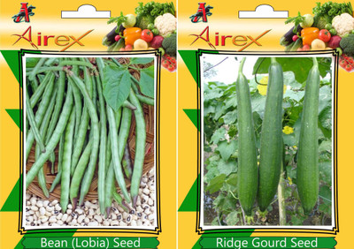 Airex Bean (Lobia), Ridge Gourd Seed(25 per packet)