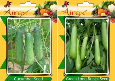 Airex Cucumber, Green Long Brinjal Seed(25 per packet)