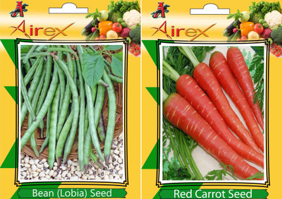 

Airex Lobia, Red Carrot Seed(20 per packet)