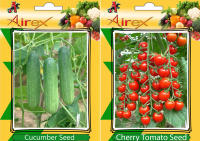 Airex Cucumber, Cherry Tomato Seed(15 per packet)