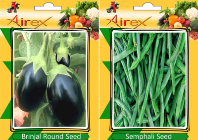 

Airex Round Brinjal, Semphali Seed(15 per packet)