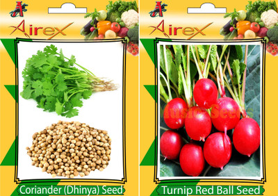 

Airex Coriander and Turnip Red Ball Vegetables Seed + Humic Acid Fertilizer (For Growth of All Plant and Better Responce) 15 gm Humic Acid + Pack Of 30 Seed Coriander + 30 Turnip Red Ball Seed(30 per packet)