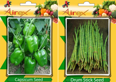 

Airex Green Capsicum, Drum Stick Seed(20 per packet)