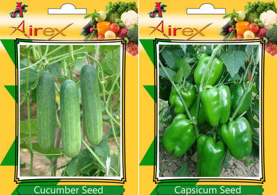 Airex Cucumber, Capsicum Seed(15 per packet)