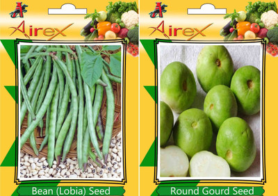 Airex Bean (Lobia), Round Gourd Seed(25 per packet)