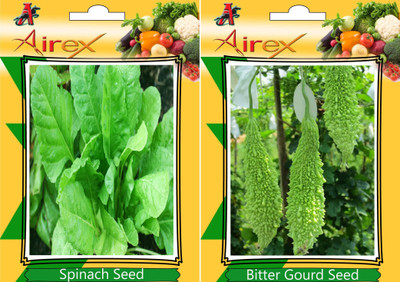 Airex Spinach, Bitter Gourd Seed(15 per packet)