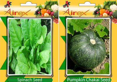 

Airex Spinach, Pumpkin Seed(25 per packet)