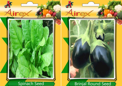 Airex Spinach, Brinjal Seed(15 per packet)